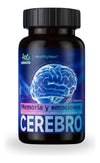 Cerebro Memoria Y Emociones
